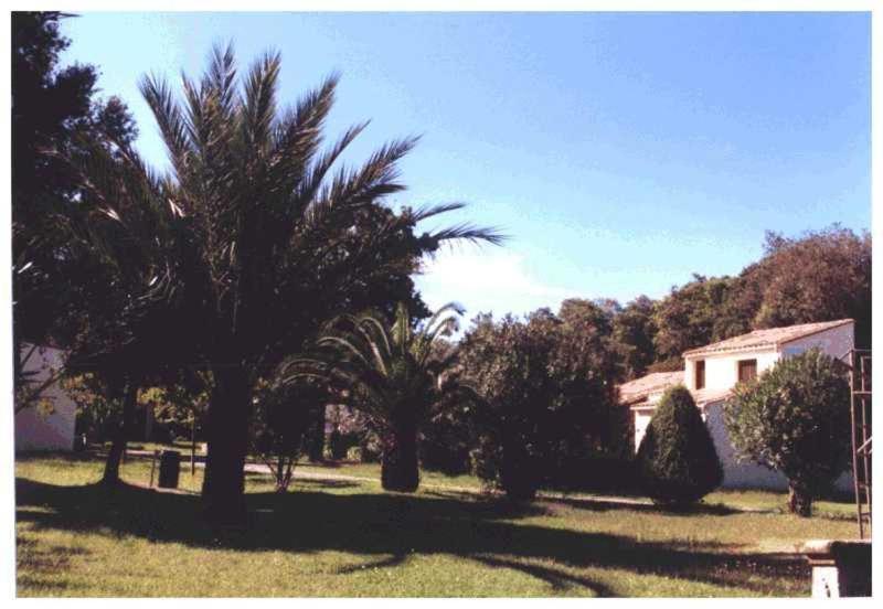 Apartmán Domaine De L'Avidanella Santa-Lucia-di-Moriani Exteriér fotografie